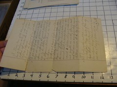 vintage paper: LAST WILL AND TESTAMENT OF THEODORE MOSER, MACOMB COUNTY, MI 1882